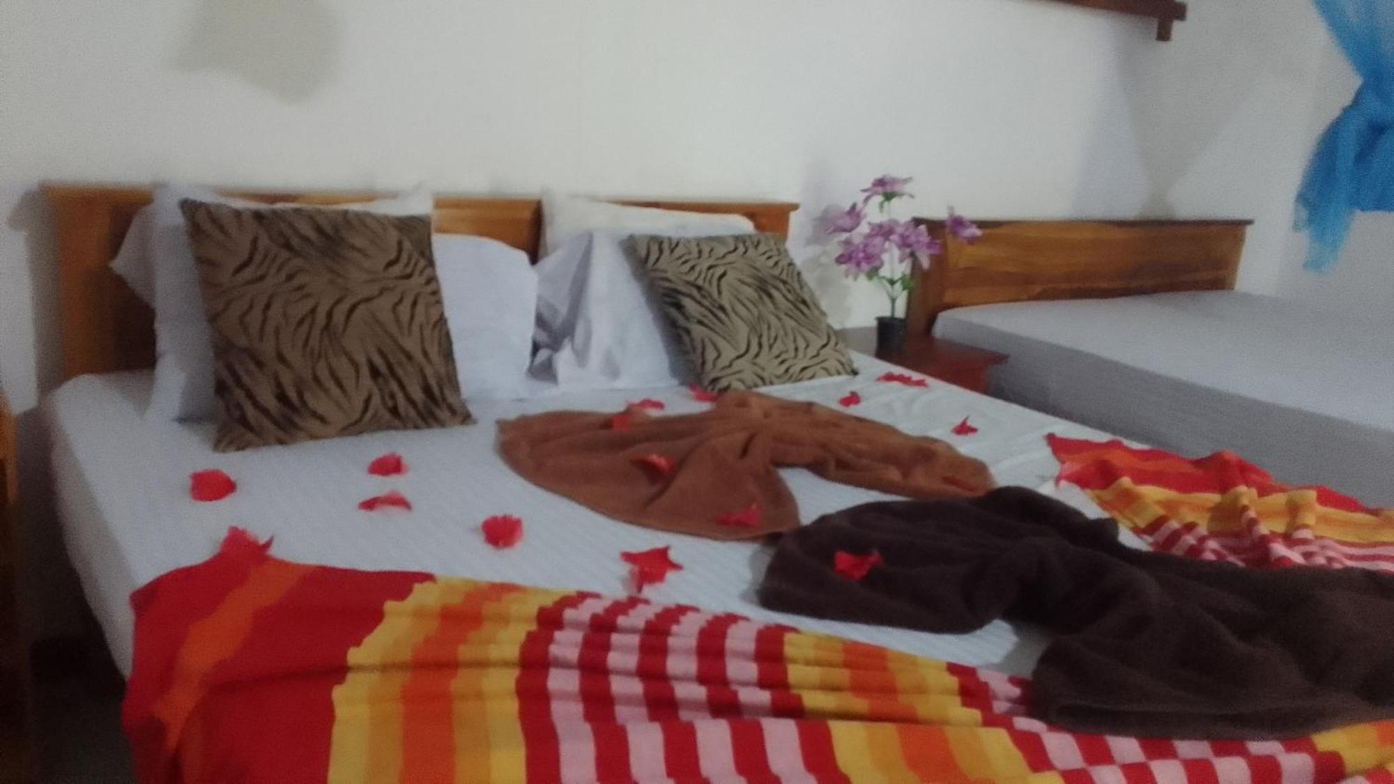 Sigiriya Village Home Stay 外观 照片