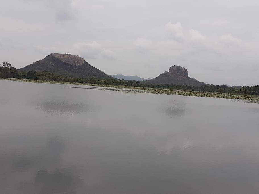 Sigiriya Village Home Stay 外观 照片