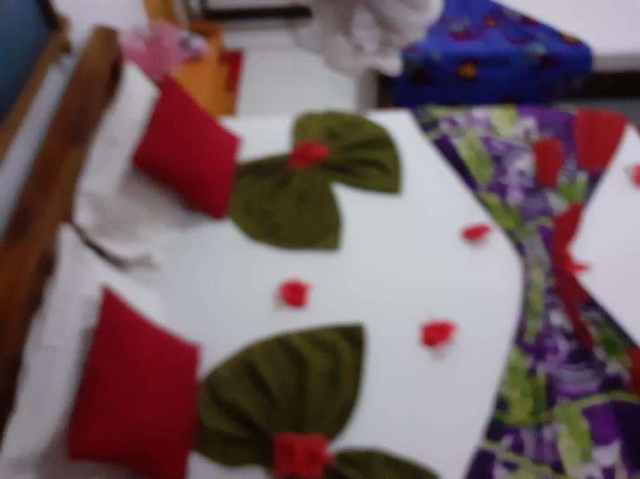 Sigiriya Village Home Stay 外观 照片
