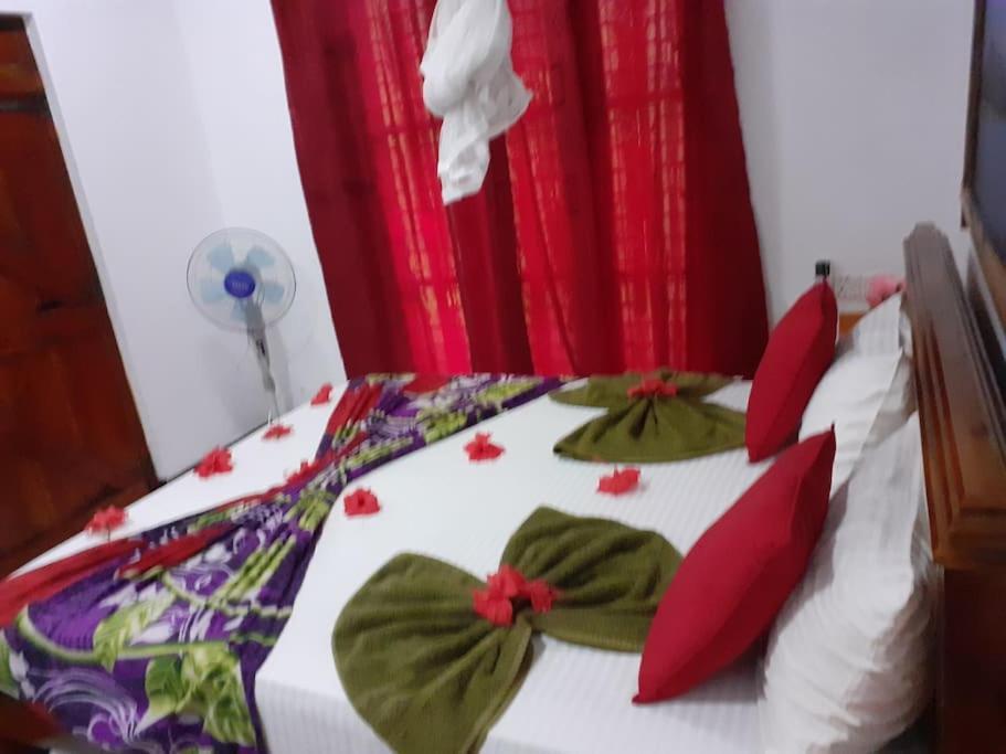 Sigiriya Village Home Stay 外观 照片
