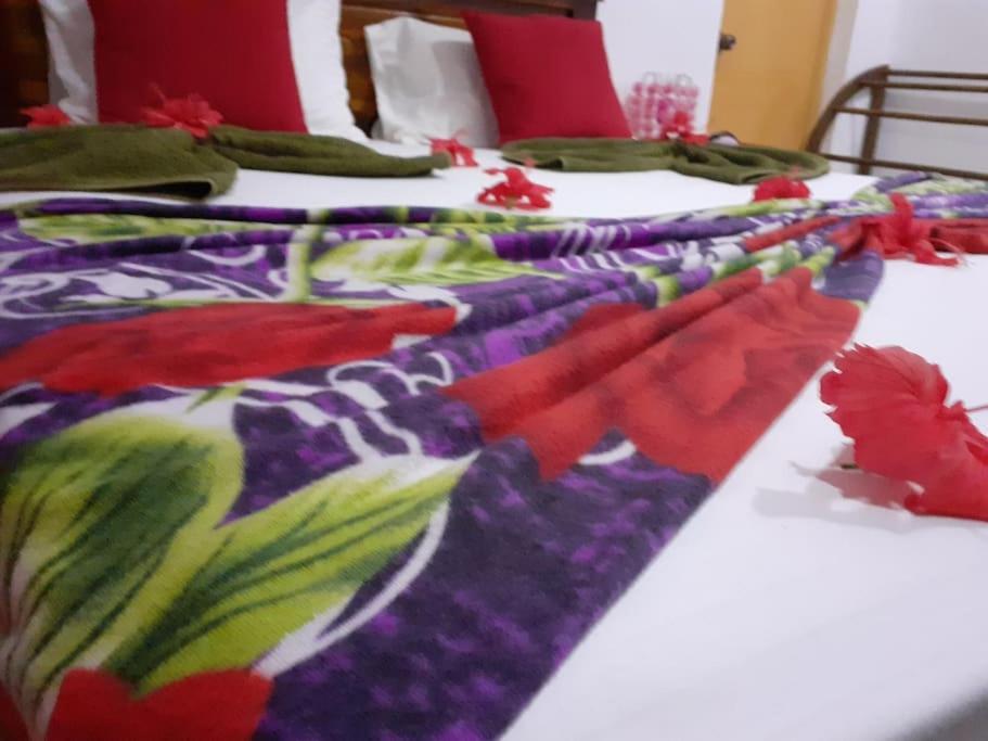 Sigiriya Village Home Stay 外观 照片