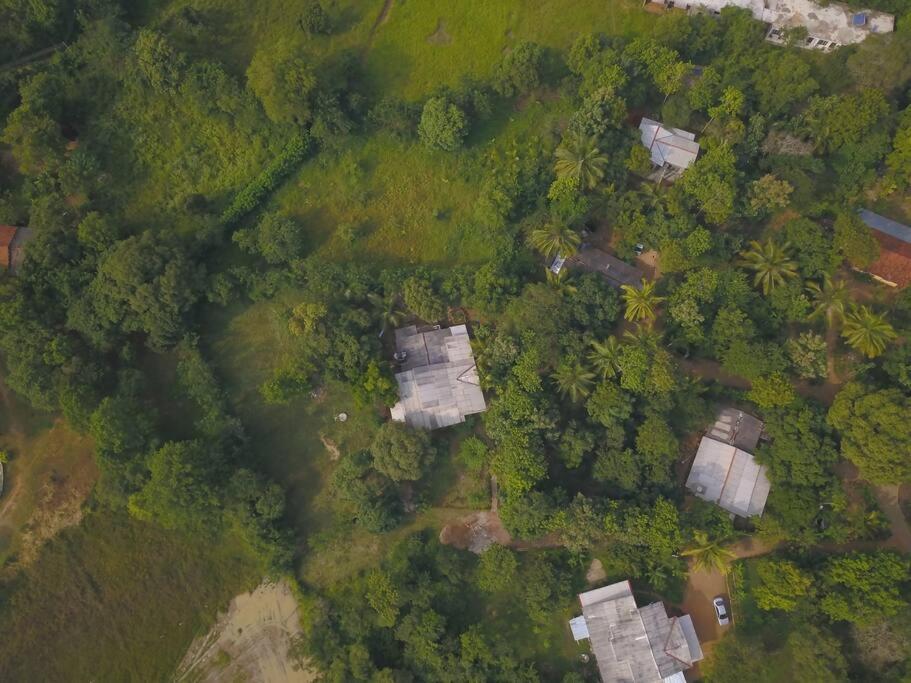 Sigiriya Village Home Stay 外观 照片