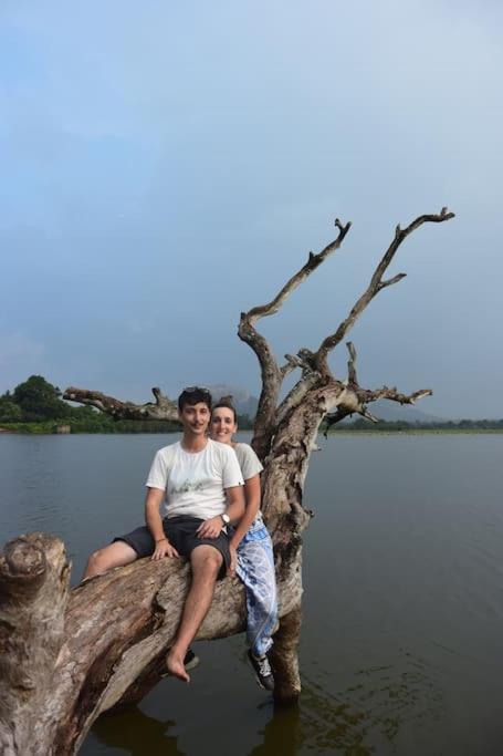 Sigiriya Village Home Stay 外观 照片
